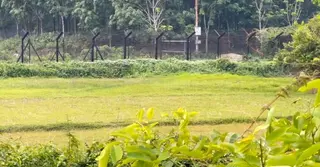 ফেনী সীমান্তে ৪ জনের অবৈধ অনুপ্রবেশের অপচেষ্টা প্রতিহত করলো বিজিবি